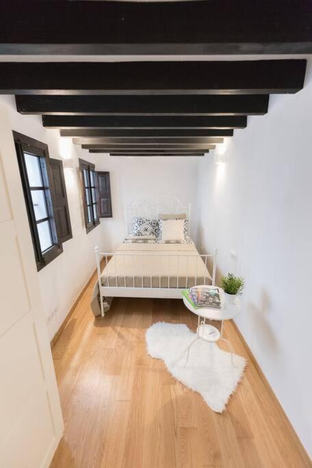 Appartamento Loft En El Corazon De Palma Cerca De La Catedral Palma di Maiorca Esterno foto